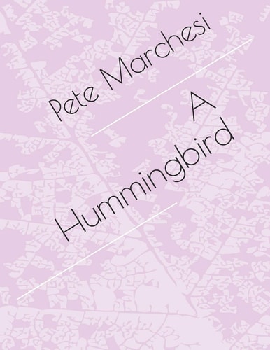 A Hummingbird