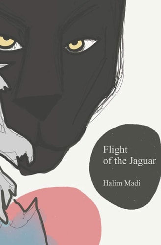 Flight of the Jaguar