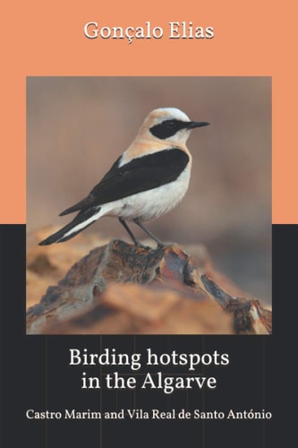 Birding Hotspots in the Algarve Castro Marim and Vila Real de Santo António