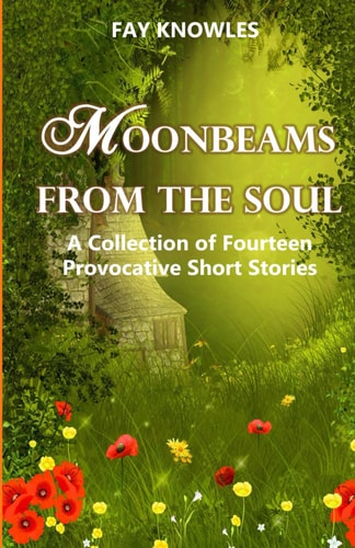 Moonbeams from the Soul A Collection of Fourteen Provocative Short Stories