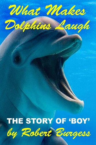 What Makes Dolphins Laugh The Story of 'Boy'