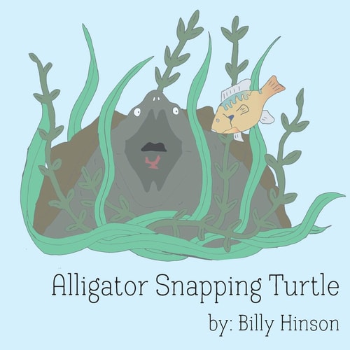 Alligator Snapping Turtle