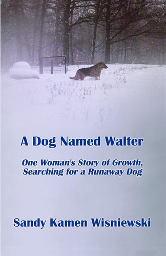 A Dog Named Walter One Woman's Story of Growth, Searching for a Runaway Dog