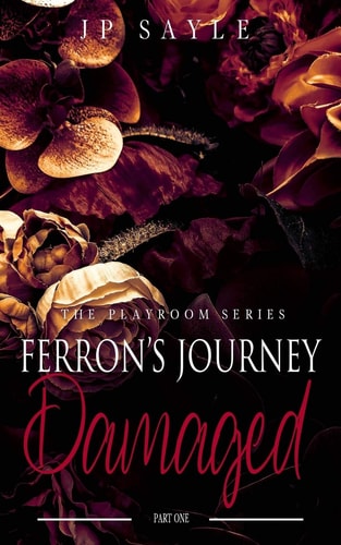 Ferron's Journey Part One Damaged: M/M Age Gap Suspense Romance