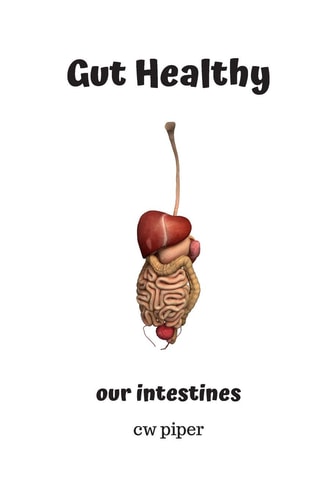 Gut Healthy Our Intestines