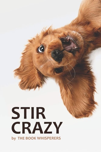 Stir Crazy A Lockdown Anthology