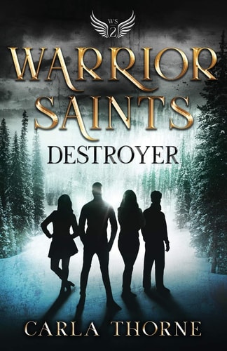 Warrior Saints - Destroyer Stonehaven Academy Saints Book 2