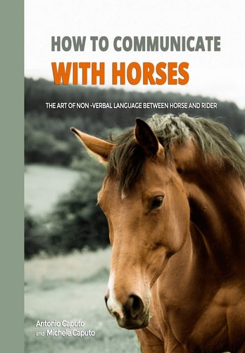 How to Communicate with Horses The Art of Non-verbal Language Between Horse and Rider