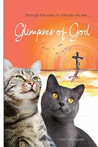 Glimpses of God