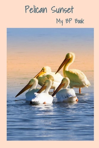 Pelican Sunset My BP Book