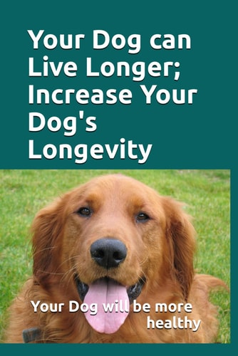 Your Dog Can Live Longer; Increase Your Dog's Longevity Your Dog Will Live Longer and Be More Healthy with This Information