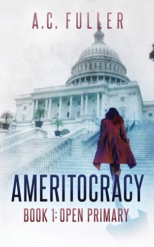 Ameritocracy Open Primary