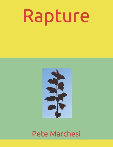 Rapture (A Melodic)