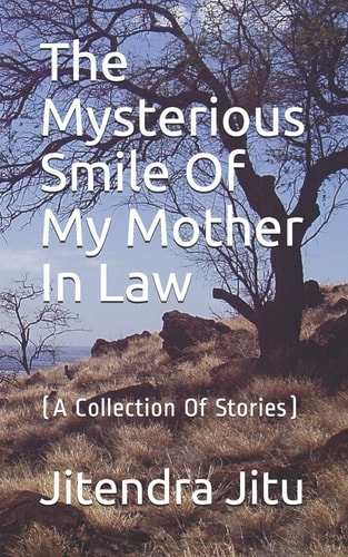 The Mysterious Smile Of My Mother In Law (A Collection Of Stories)