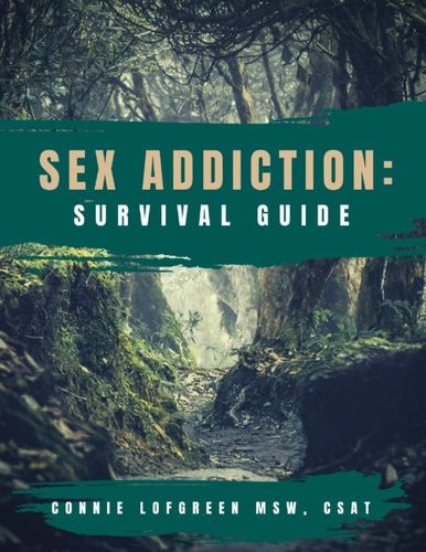 Sex Addiction Survival Guide A Practical Workbook for Reconnecting to Yourself and Others