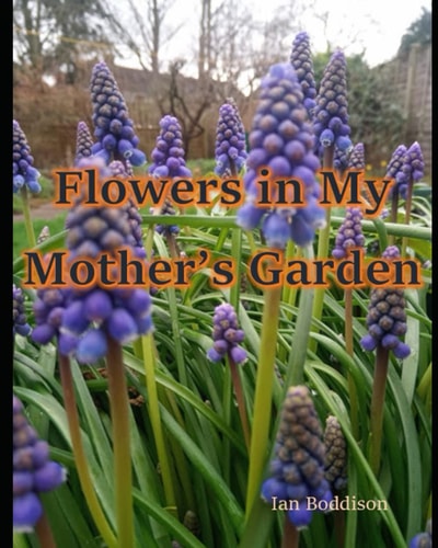 Flowers in My Mother's Garden A Pictorial Tribute to a Remarkable Lady