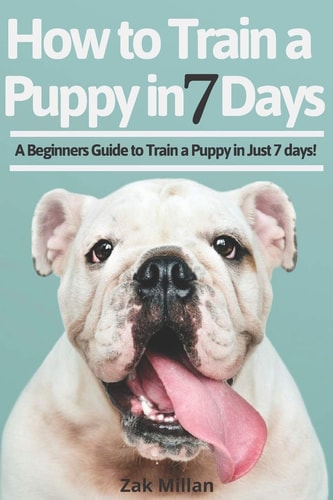 How to Train a Puppy in 7 Days A Beginners Guide to Train a Puppy in Just 7 Days! Includes The Art of Raising a Puppy with Positive Puppy Training and Potty Training for Puppy