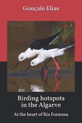Birding Hotspots in the Algarve At the Heart of Ria Formosa