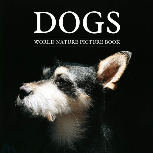 DOGS World Nature Picture Book Gift Picture Book for Dog Lover, Alzheimer's Patients and Seniors with Dementia