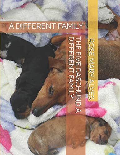 The Five Daschund A Different Family