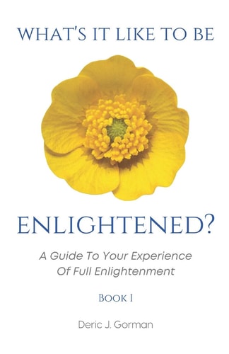 What's It Like To Be Enlightened? A Guide To Your Experience Of Full Enlightenment
