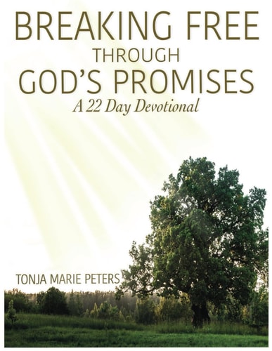 Breaking Free Teachers Guide A 22-Day Devotional
