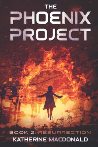 The Phoenix Project Book 2: Resurrection