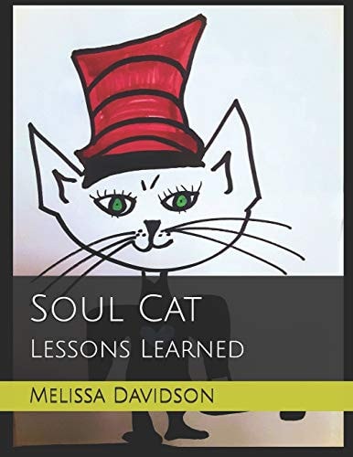 Soul Cat Lessons Learned