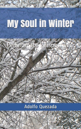 My Soul in Winter Penultimate Perspectives