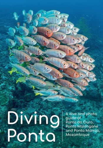 Diving Ponta A Dive and Photo Guide of Ponta Do Ouro, Ponta Malongane and Ponta Mamoli, Mozambique
