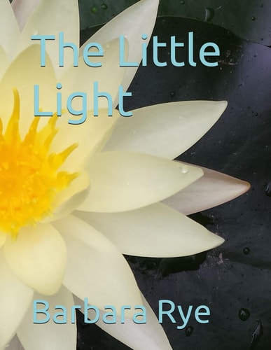 The Little Light
