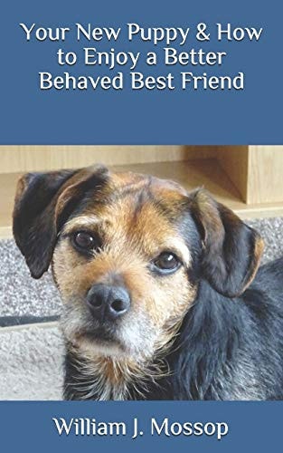 Your New Puppy & How to Enjoy a Better Behaved Best Friend