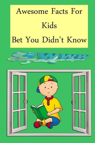 Awesome Fact for Kids About Everything Age 4-6 and Other: Bet You Didn't Know: More +100 Fact Different