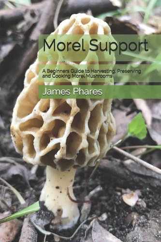 Morel Support A Beginners Guide To Harvesting, Preserving And Cooking Morel Mushrooms