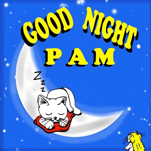 Good Night Pam Bedtime Stories Books for Kids - Bedtime Stories for Poddlers with Pictures - Cat Books for Kids