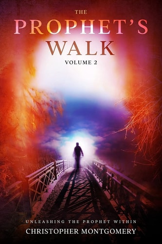 The Prophet's Walk Volume 2: Unleashing the Prophet Within