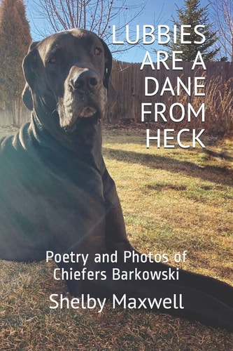 Lubbies are a Dane From Heck Poetry and Photos of Chiefers Barkowski