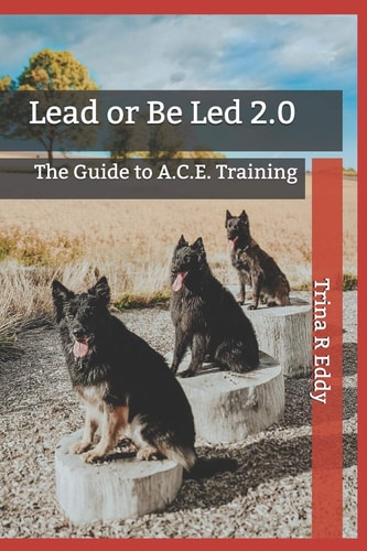 Lead Or Be Led 2.0 The Guide to A.C.E. Training
