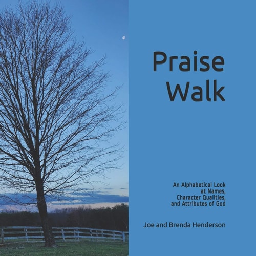 Praise Walk An Alphabetical Look at Names, Character Qualities, and Attributes of God