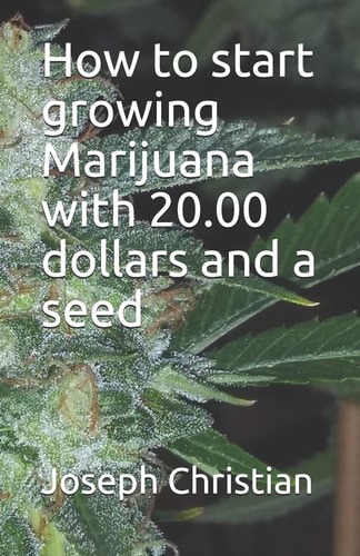 How to Start Growing Marijuana with 20.00 Dollars and a Seed