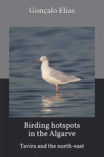 Birding Hotspots in the Algarve Tavira and the North-East
