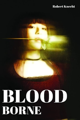 Blood Borne The Crimson That Outshines Claret