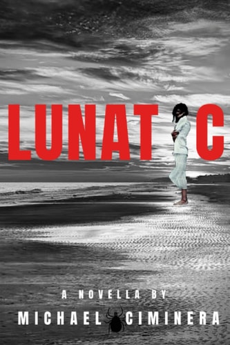 Lunatic A Thrilling Suspense Novella