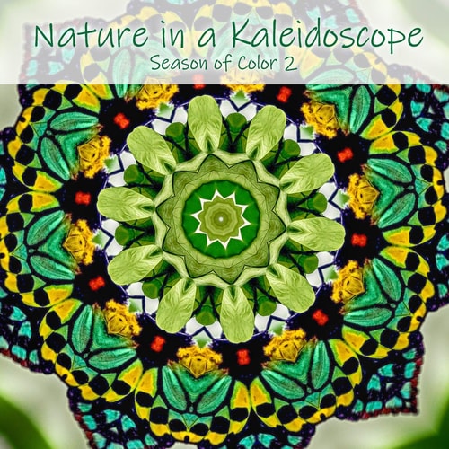 Nature in a Kaleidoscope Season of Color 2