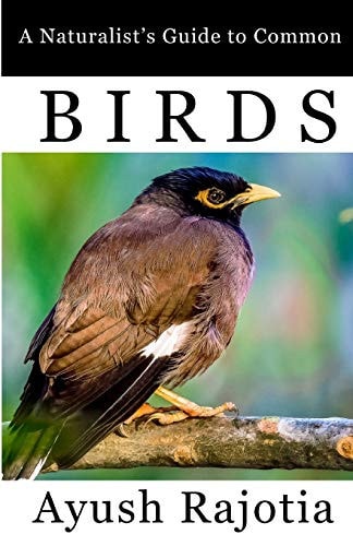 A Naturalist's Guide to Common Birds