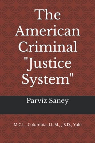 The American Criminal Justice System Urgent Call for an Overhaul