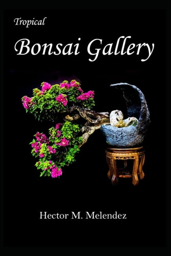 Tropical Bonsai Gallery