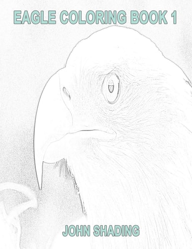 Eagle Coloring Book 1