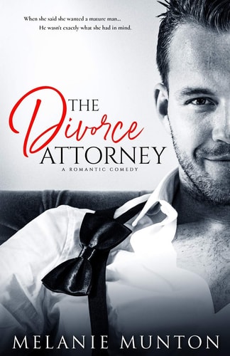 The Divorce Attorney