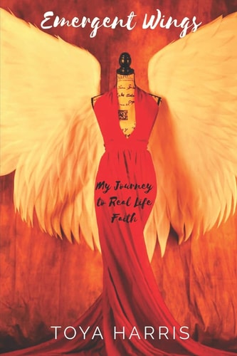 Emergent Wings My Journey to Real Life Faith